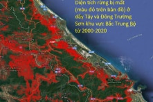 Diện tích rừng bị mất ở Việt Nam trong vòng 20 năm qua – Sốc!