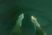 27 bức ảnh cho thấy chứng sợ biển sâu là có thật