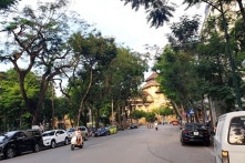 Những con đường hoa phượng hơn 100 tuổi của Hà Nội