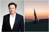 elon musk startlink chao