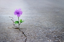 Chỉ cần “buông bỏ” 15 điều này, ưu buồn không thể tìm đến bạn