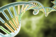 Một vấn đề lớn trong dự án Giải mã Bộ gen người