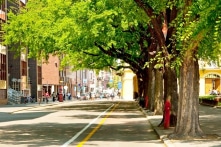 3 trong 1: Cây xanh – Đô Thị – Con người