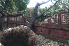 1 người chết, 1 người mất tích, 36 người bị thương trong bão số 5