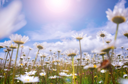 7 tài phú tạo nên một tinh thần sung túc