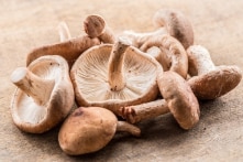 Nấm hương được ca ngợi như “thuốc chữa bách bệnh” ở Nhật Bản