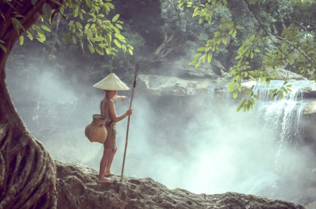 Chi Lan ở dưới núi sâu, không vì chốn vắng vẻ mà không thơm