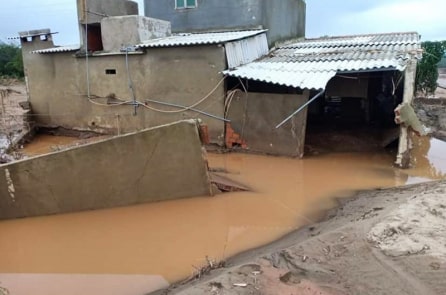 Cái cần hay con cá