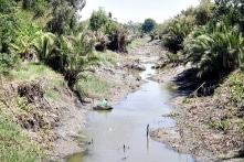 Mùa khô 2020-2021, ĐBSCL có thể hạn mặn gay gắt hơn năm trước