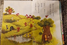 Nên đưa ngữ liệu gì vào sách giáo khoa Tiếng Việt?