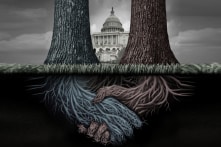 “Đầm lầy Washington” và “Chính phủ ngầm”