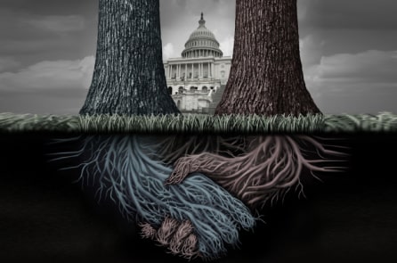 “Đầm lầy Washington” và “Chính phủ ngầm”