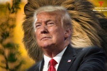 Tạ Điền: Tổng thống Trump, đến lúc ra tay hãy hành động ngay!