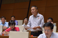 ‘Chúng ta hô hào trồng rừng nhưng vẫn cho phép những đại dự án ngay lõi rừng’