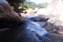 ‘Chuyển’ 7,26 ha rừng đặc dụng trong Vườn quốc gia Núi Chúa làm hồ chứa nước