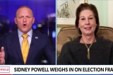 Sidney Powell on Newsmax