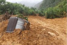 Bí thư tỉnh Quảng Nam hỏi: Cây keo là nguyên nhân chính gây sạt lở núi?