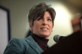 Joni Ernst by Gage Skidmore 4