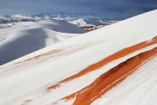 Thế giới cổ tích phủ tuyết trắng xóa ở sa mạc Sahara