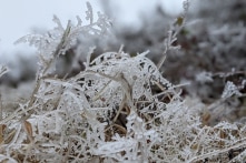 Băng giá phủ trắng vùng cao ở Cao Bằng, Lạng Sơn, Quảng Ninh