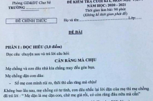 Đề Ngữ văn lớp 9 cuối học kỳ bị đánh giá là “dung tục”