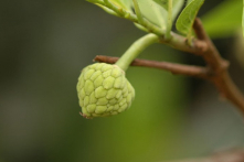 Bài học yêu thương đầu đời