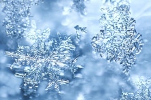 Hình ảnh quay ngược quá trình hoa tuyết tan tuyệt đẹp