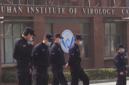 Sharyl Attkisson: Chứng cứ cho thấy Mỹ tài trợ cho Viện Virus học Vũ Hán