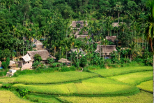 Những tục lệ ngày Tết của người Mường