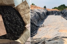 600 tấn hải sản ‘mòn mỏi’ chờ tiêu hủy sau 5 năm thảm họa môi trường Formosa