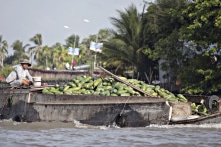 Chi phí logistics chiếm đến 30% giá thành nông sản ĐBSCL