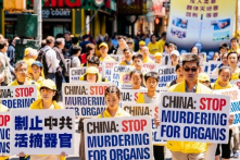 Thẩm phán Cát Lâm: Giết người có thể mời luật sư, còn Pháp Luân Công thì không