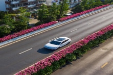 Hoa hồng nở rực rỡ dọc các con đường trên cao tại Hàng Châu