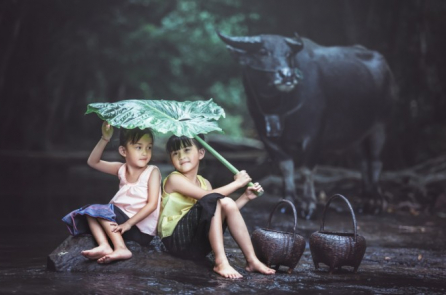 Cũng chẳng bằng đứa trẻ chăn trâu…