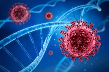 Israel phát hiện biến thể lai mới của virus corona