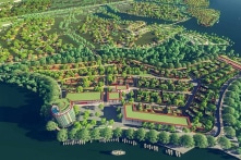 Bình Định “cắt” 12,71 ha đất rừng, lấy đất san lấp cho dự án Diêm Vân và Quảng Vân