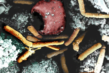 Sự kiện rò rỉ vi khuẩn bệnh than – Lịch sử có lặp lại?