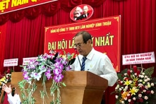 Bình Thuận: TGĐ, phó TGĐ doanh nghiệp NN bị khởi tố sau 10 năm phá rừng