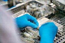 Mỹ từ chối công nhận Việt Nam là nền kinh tế thị trường