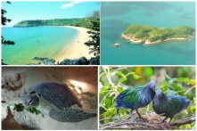 Bà Rịa – Vũng Tàu đồng ý để doanh nghiệp thuê gần 910 ha VQG Côn Đảo làm du lịch sinh thái