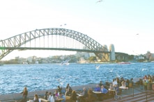 Nhà hát Opera Sydney chi tiền tỷ thuê chó đuổi chim mòng biển