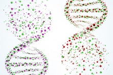 Hiệu ứng “bóng ma DNA” – chứng minh tồn tại cơ thể người ở không gian khác?