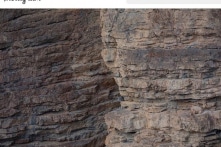 Liệu bạn có nhìn thấy một nhân vật đặc biệt nào trong bức ảnh?