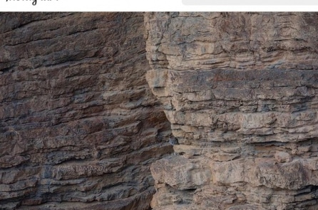 Liệu bạn có nhìn thấy một nhân vật đặc biệt nào trong bức ảnh?