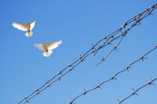 Chiến tranh: 12 đoản khúc – Thơ Trương Văn Dân