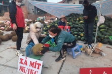 Bộ trưởng Bộ Công thương: ‘Ùn ứ thì phải giải tỏa, không được thì phải tự trách mình’