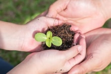 Đừng ép con phải đứng đầu, đây mới là 4 kỹ năng sống con cần có