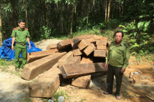 Trong một năm 2021, Quảng Nam để mất 2.850 ha rừng tự nhiên