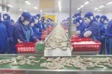 Quý 1/2022, Việt Nam xuất khẩu tôm sang thị trường EU tăng 66%