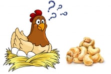 Video: Gà mái Ấn Độ đẻ những quả trứng hình hạt điều thật thú vị